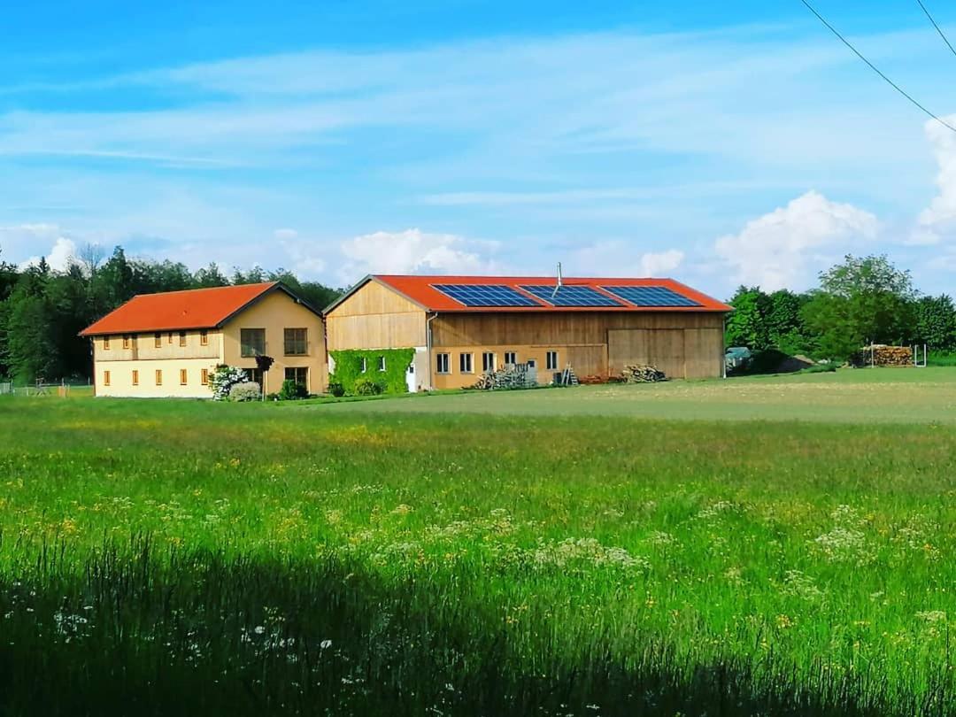 HaimingNiedergerner Alpaka Ranch公寓 外观 照片